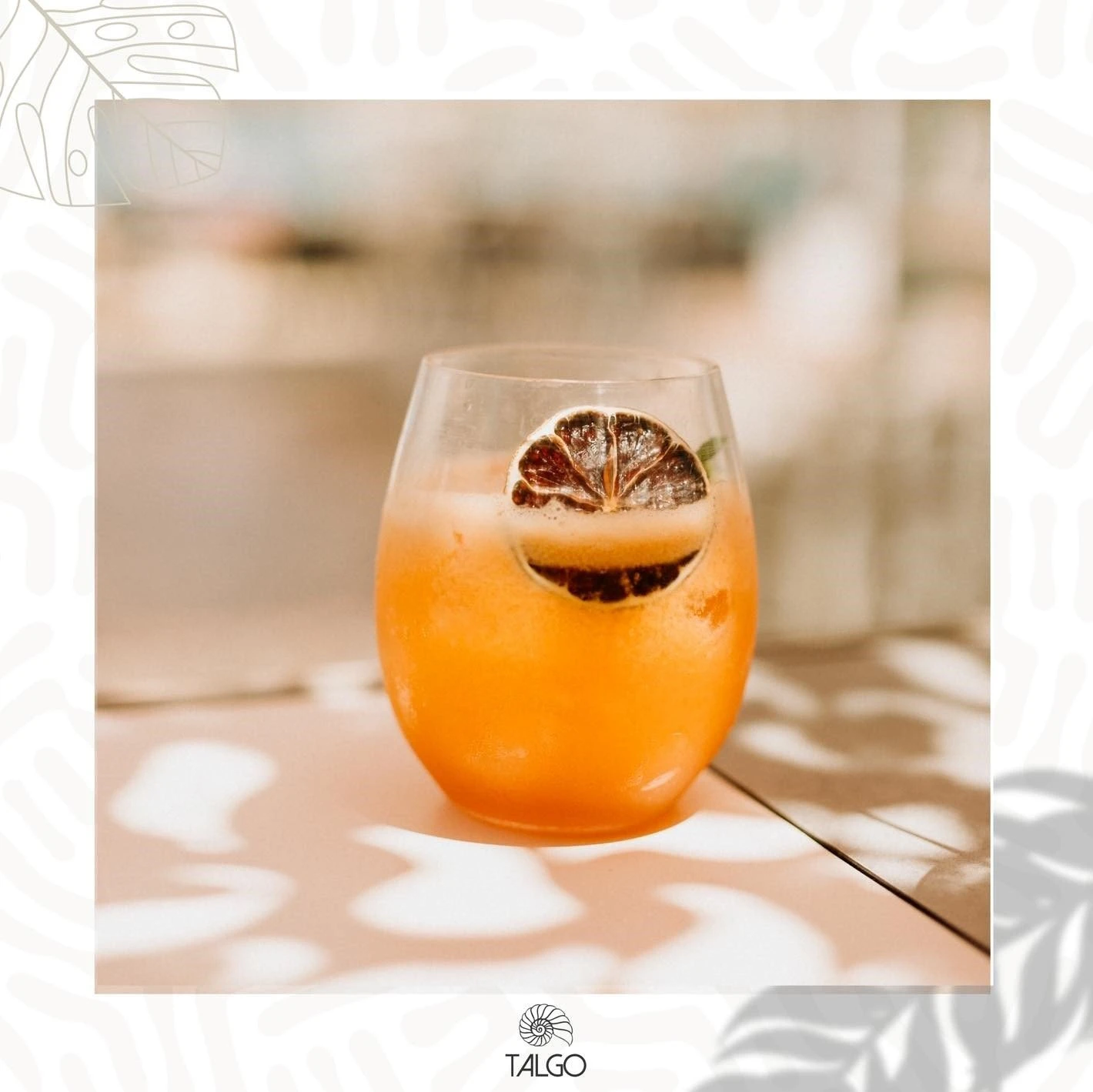 talgo-beach-bar11.jpg