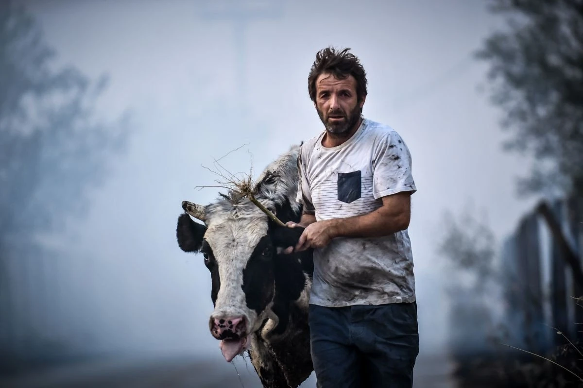 Φωτογραφία από τη φωτιά στον Βόλο