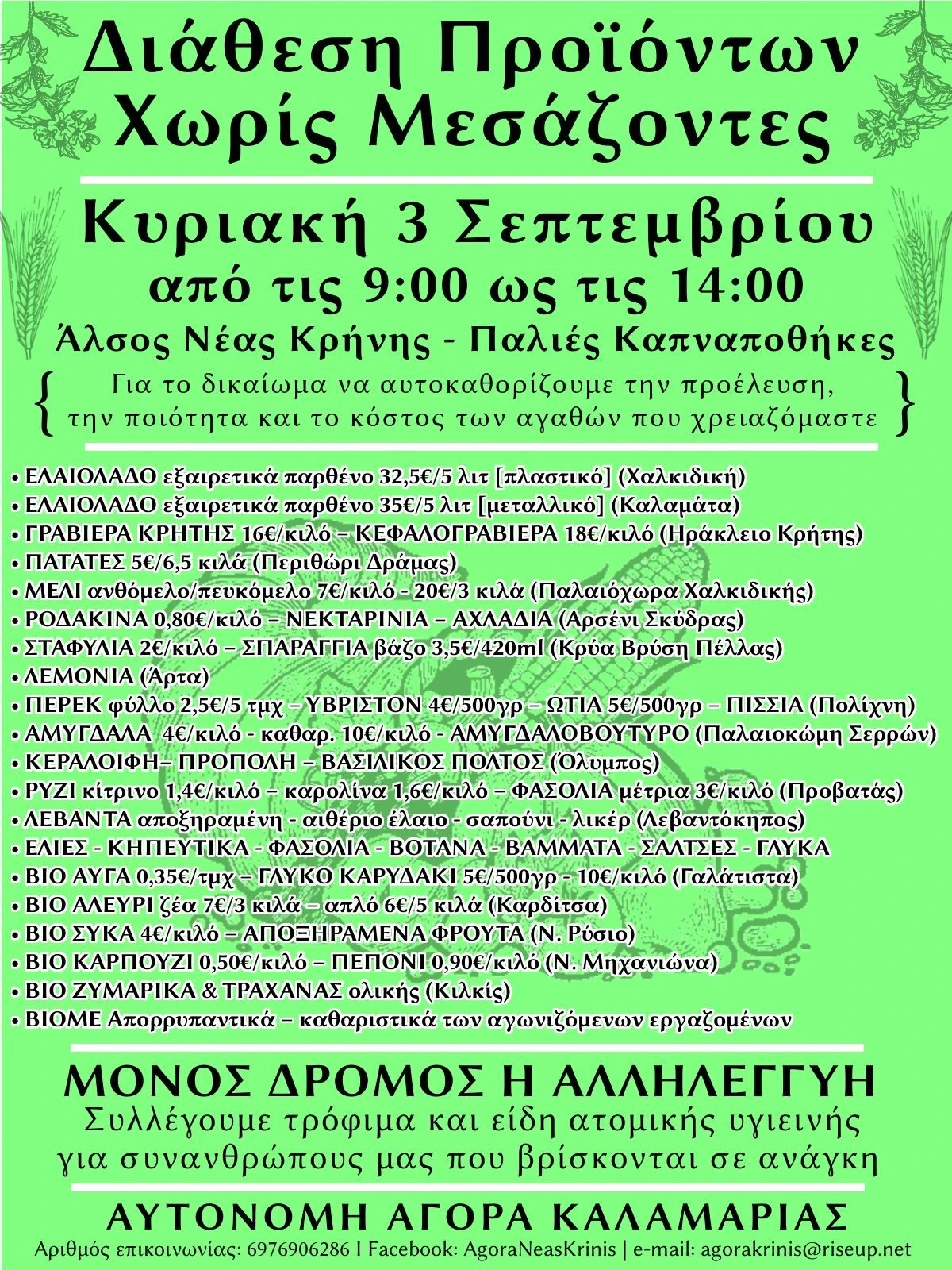370376376-676325344520780-6931961454138212454-n.jpg