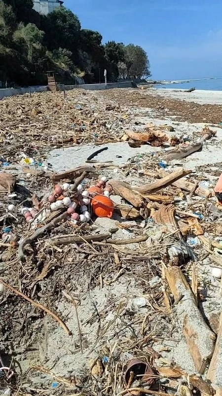 typhoon3.jpg