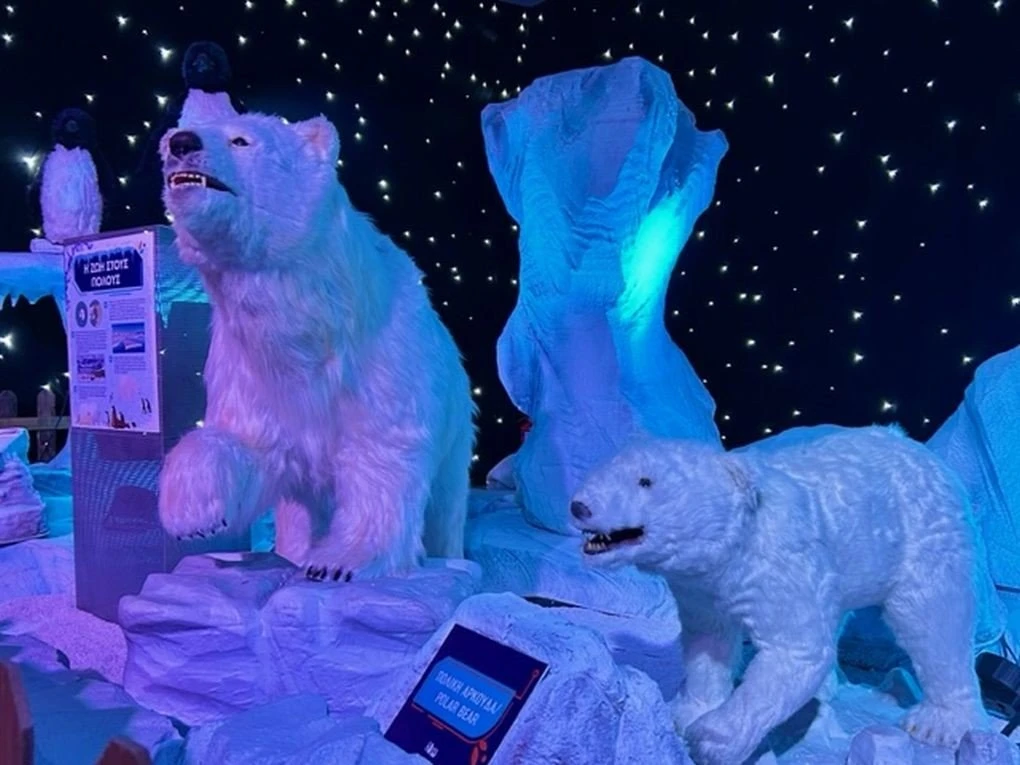ecozoo-noesis3.jpg