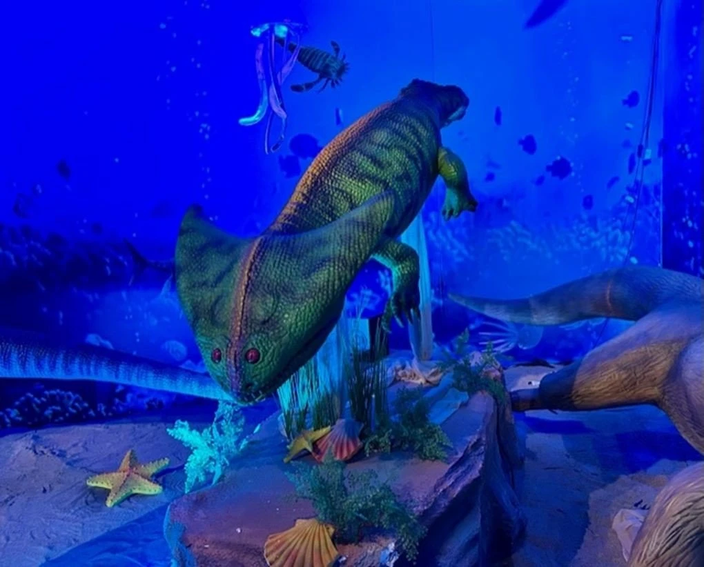 ecozoo-noesis5.jpg