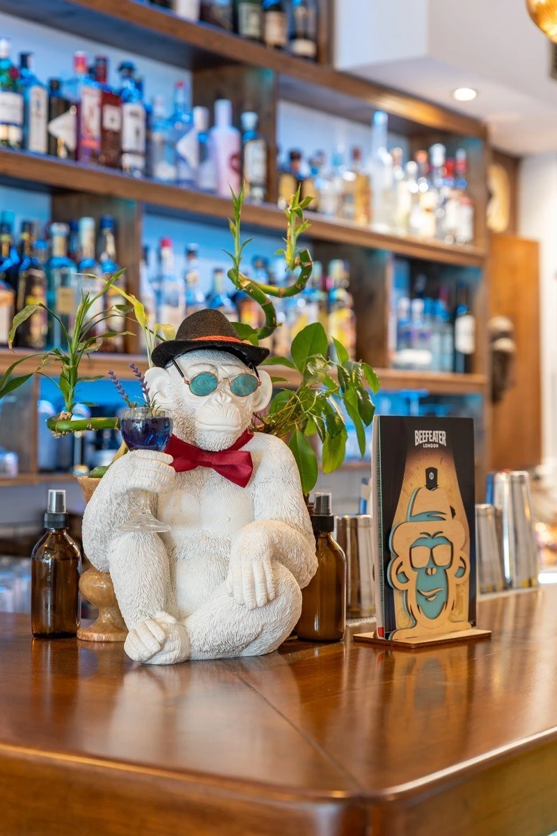 funky-monkey-skg6.jpg