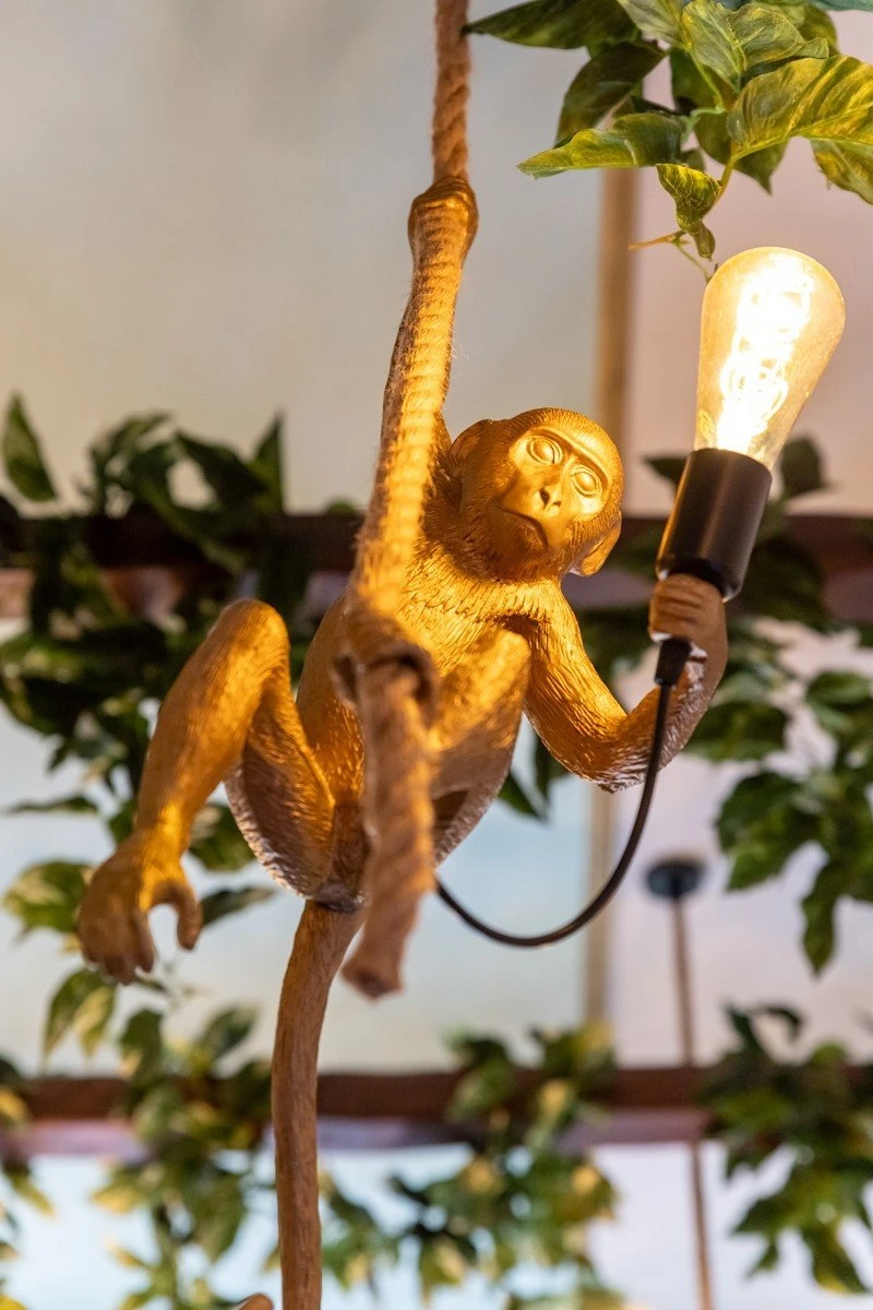 funky-monkey-skg8.jpg
