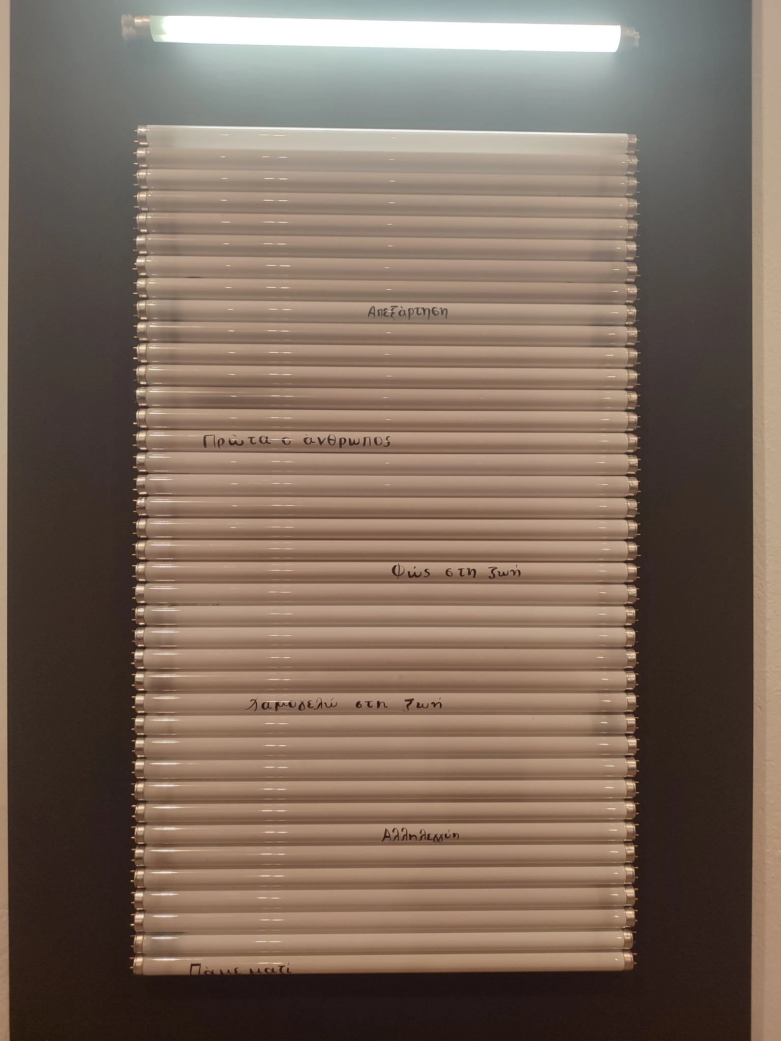 385529899-364717129346249-1362248765969587650-n.jpg