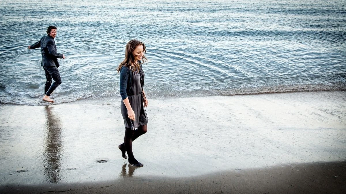 Knight of cups