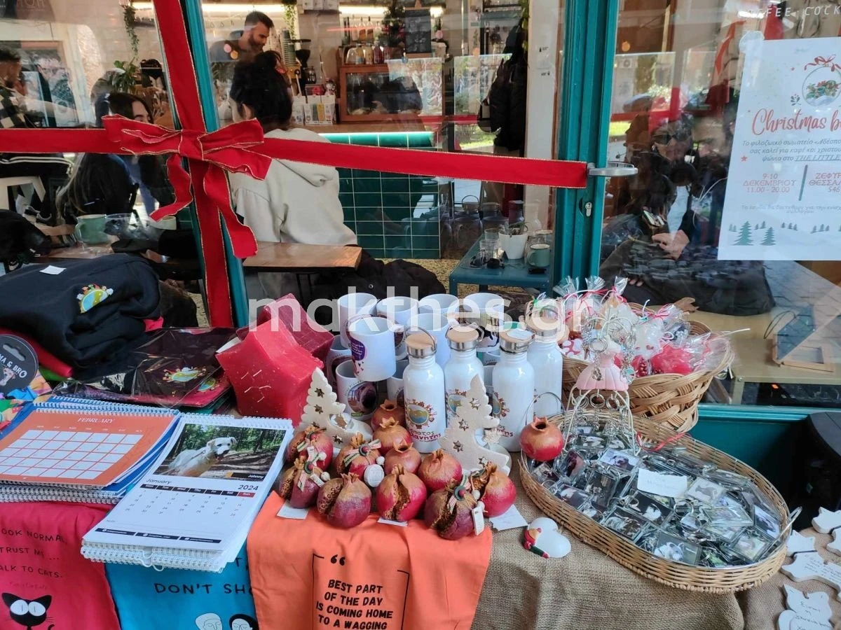 adespotos-planitis-bazaar-adespota-xristougenna-2023-e.jpg