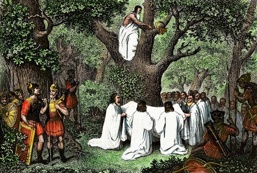 druids.jpg