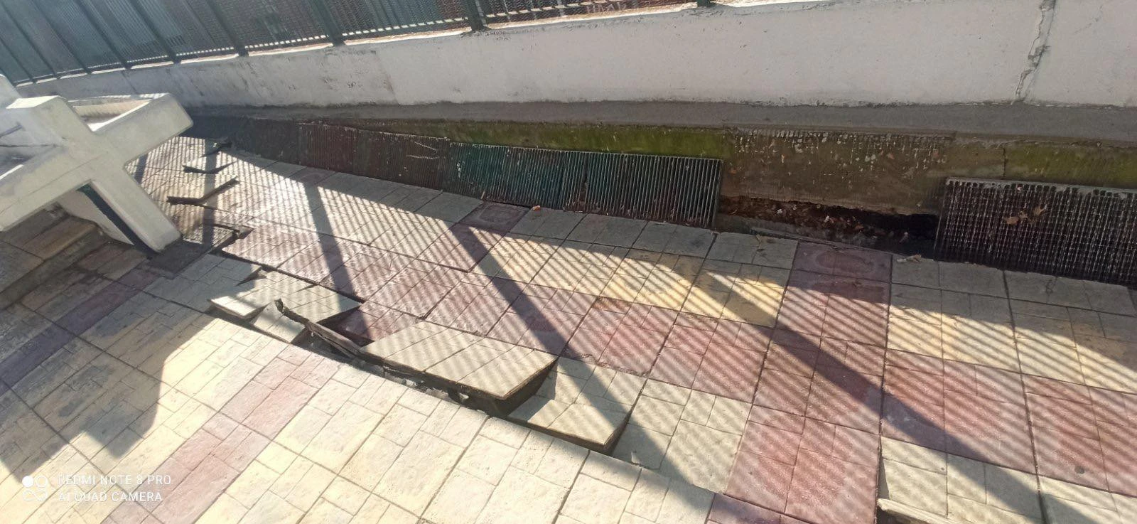 f5.jpg