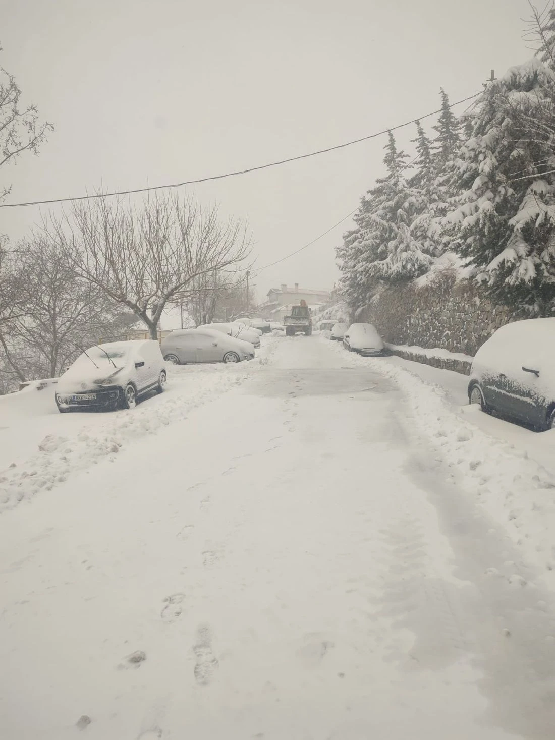 Σπηλιά Κισσάβου - Πηγή: https://www.onlarissa.gr/2024/01/21/pagomena-kai-katalefka-meta-apo-tin-chionoptosi-choria-tis-larisas-foto-vinteo/