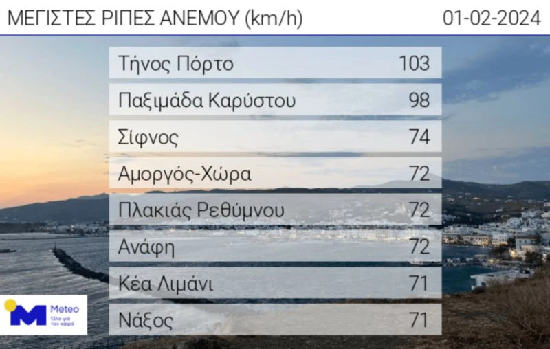 m2.jpg