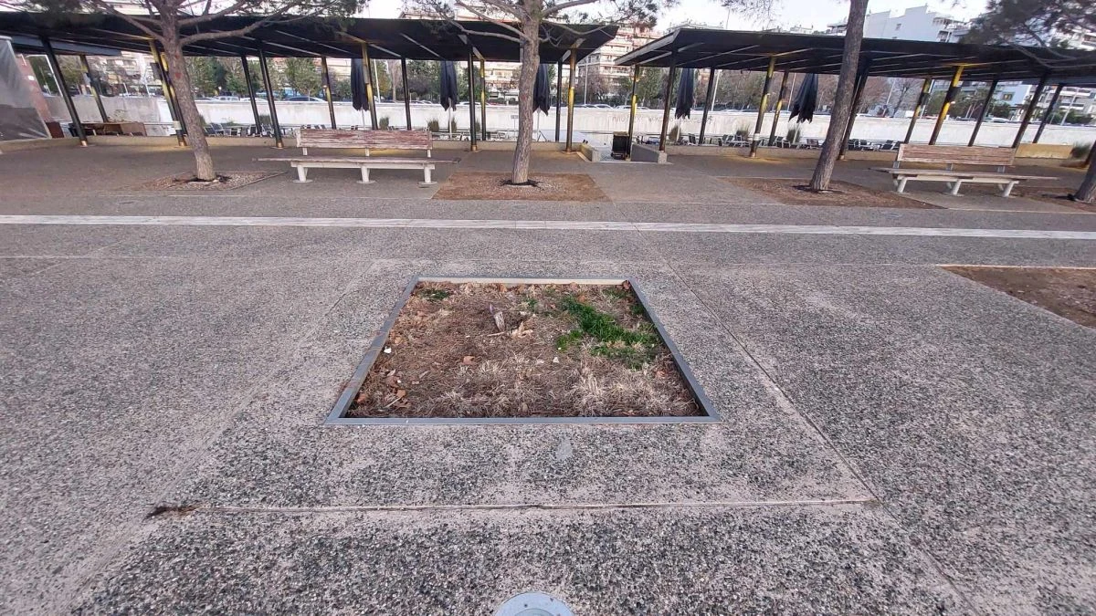 Άδεια δενδροδόχος και ασυντήρητα παγκάκια