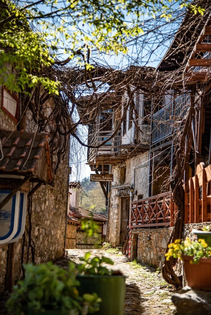 taverna-olimpos4.jpg