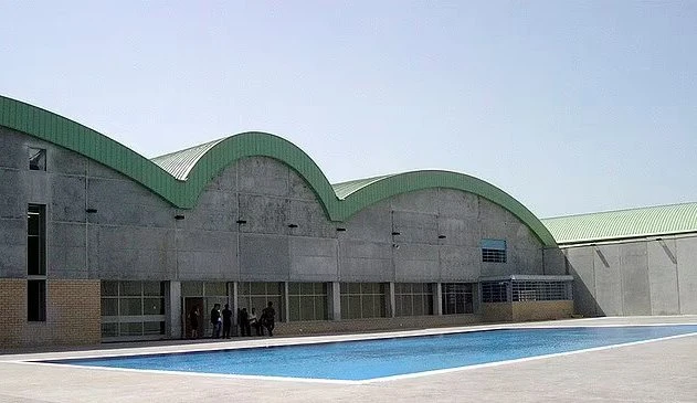 44602999-9719167-image-a-4-1624498091368.jpg