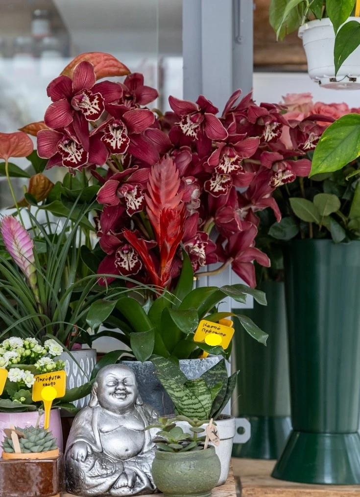 stand-de-fleurs14.jpg