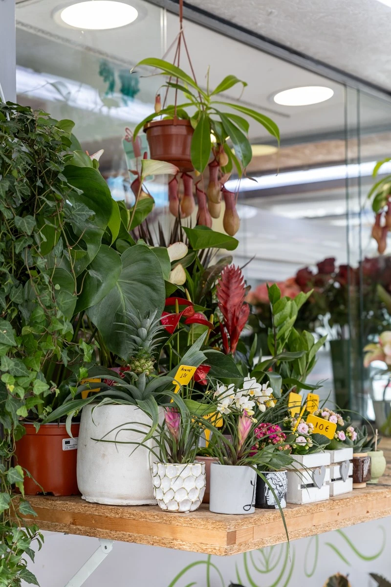 stand-de-fleurs16.jpg