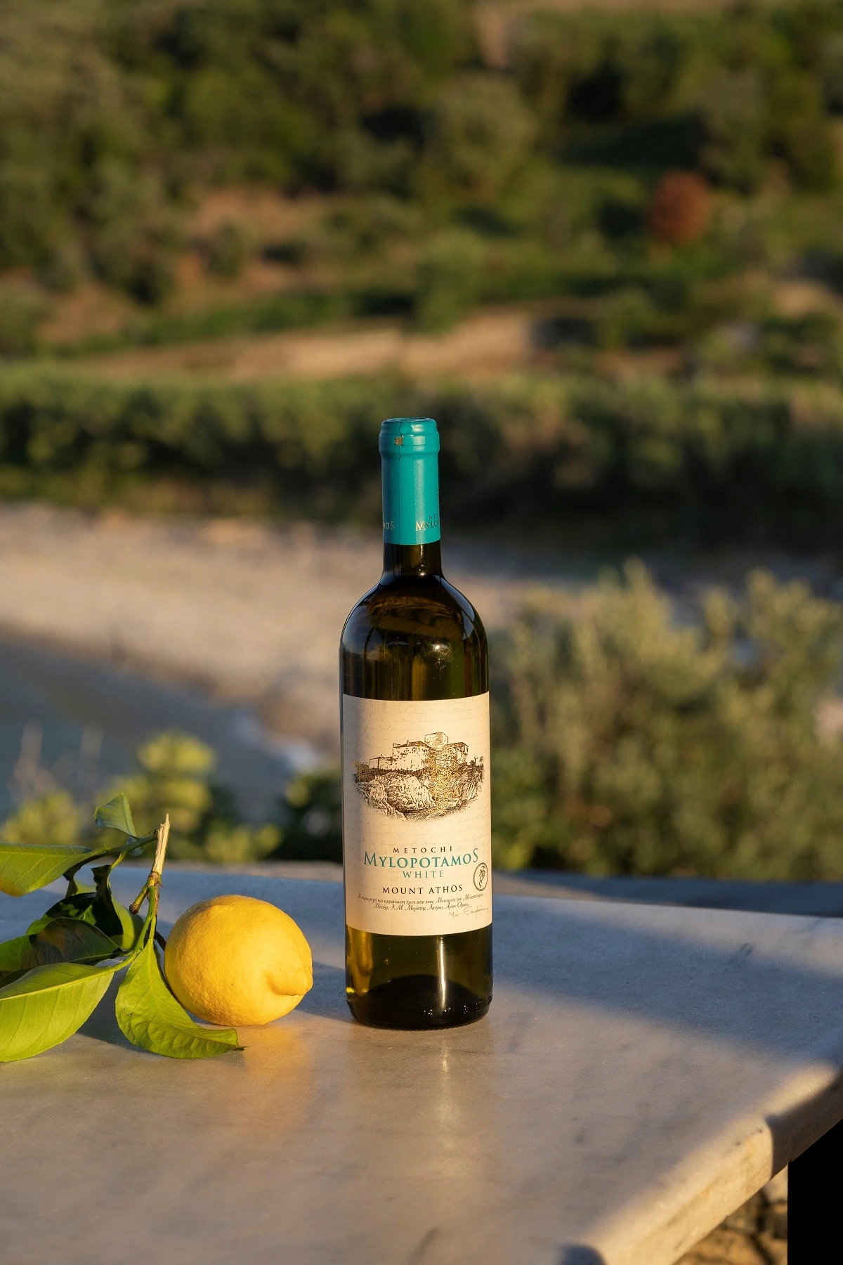 metochi-milopotamos10.jpg