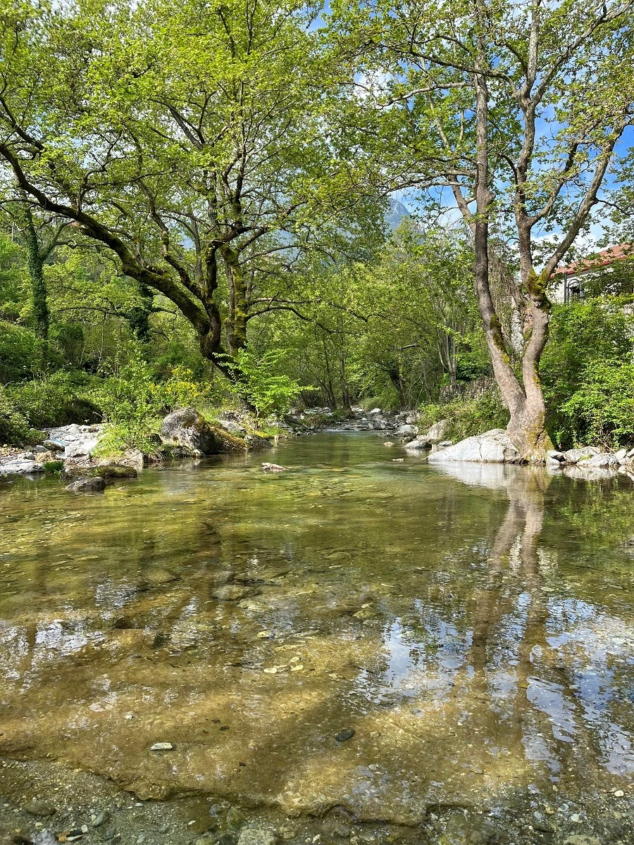 ntisko-romeiko-3.jpg