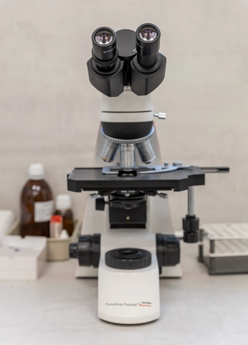 thess-lab9.jpg