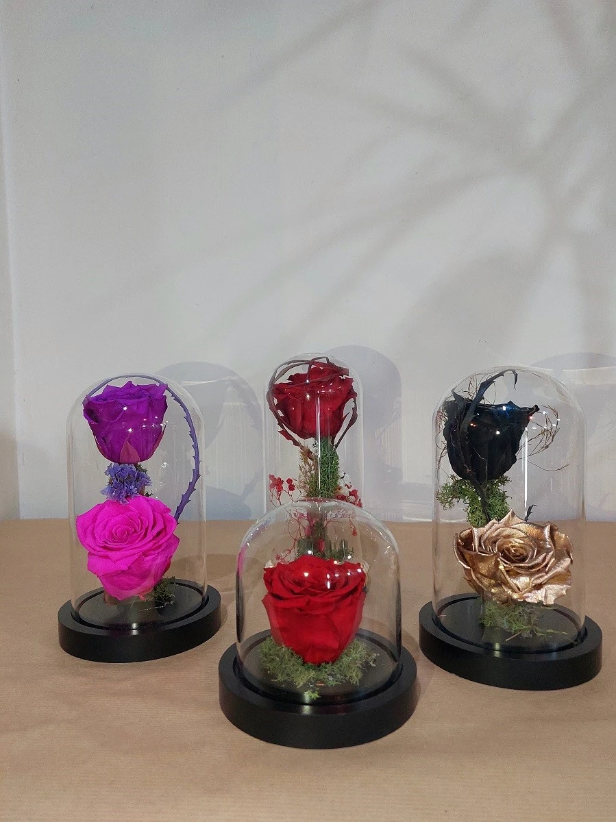 mini-garden11.jpg