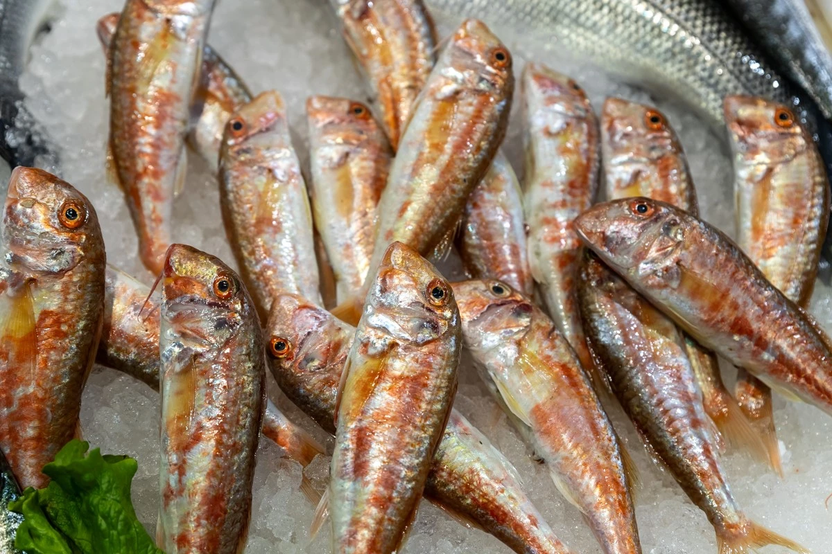 thalassokipos14.jpg