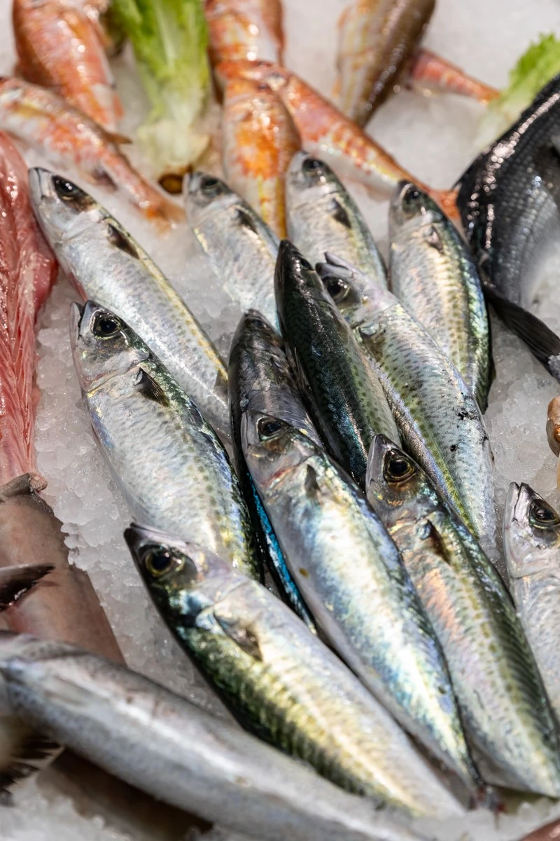 thalassokipos15.jpg