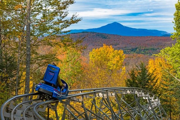 orda-mountain-coaster-8.jpg