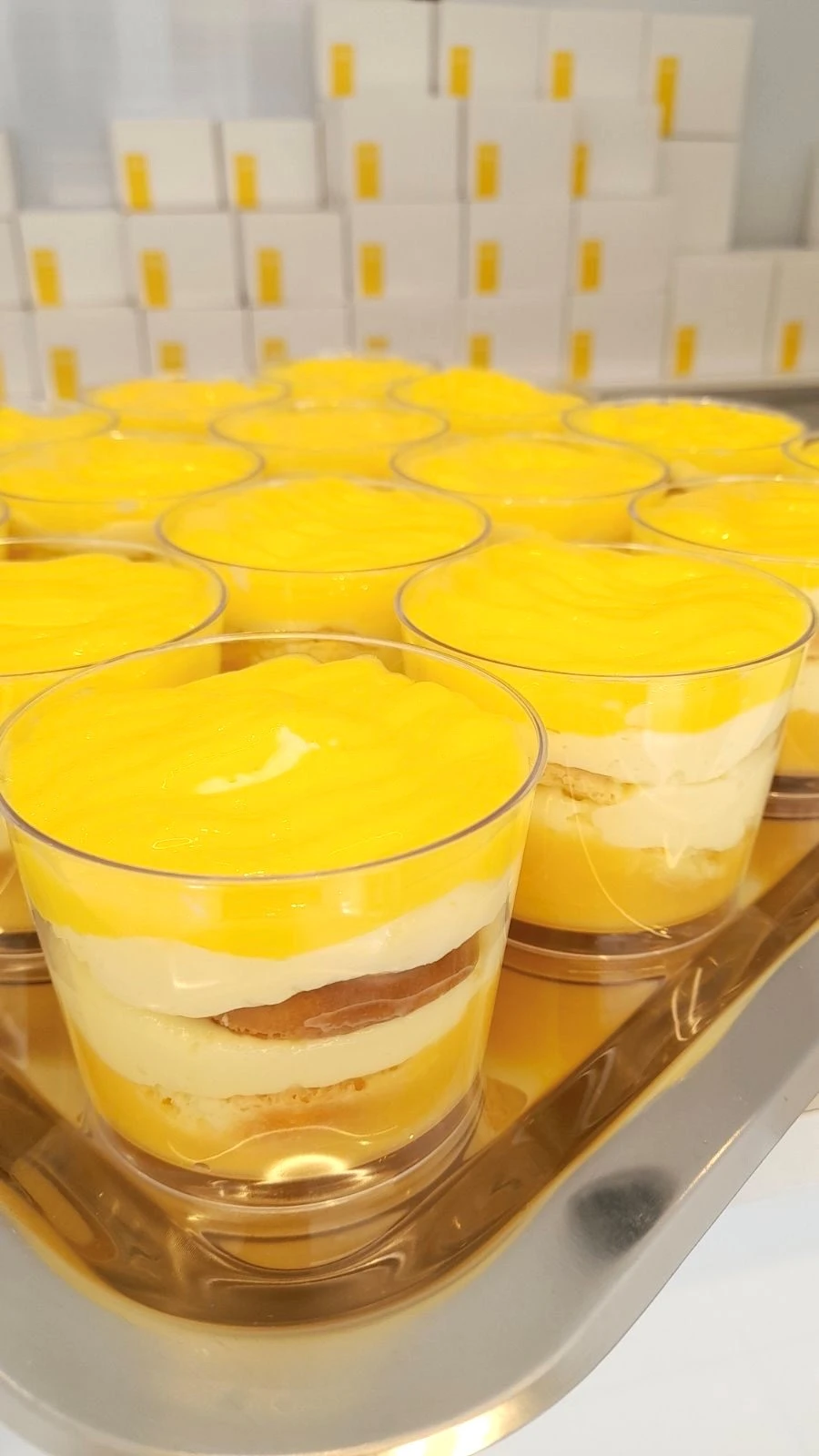 tiramisu1.jpg