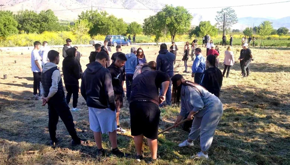 epal-tyrnavu-dendrofytefsi-1.jpg