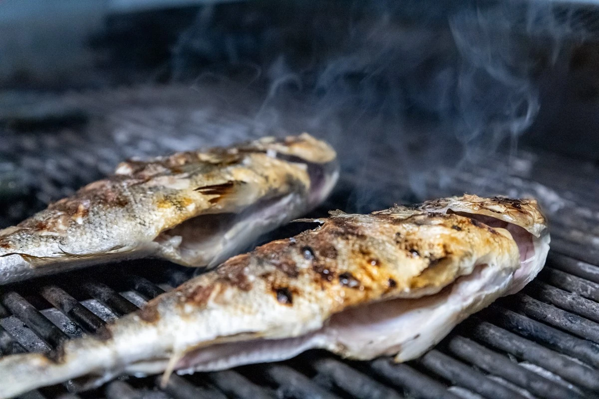 fish-fish16.jpg