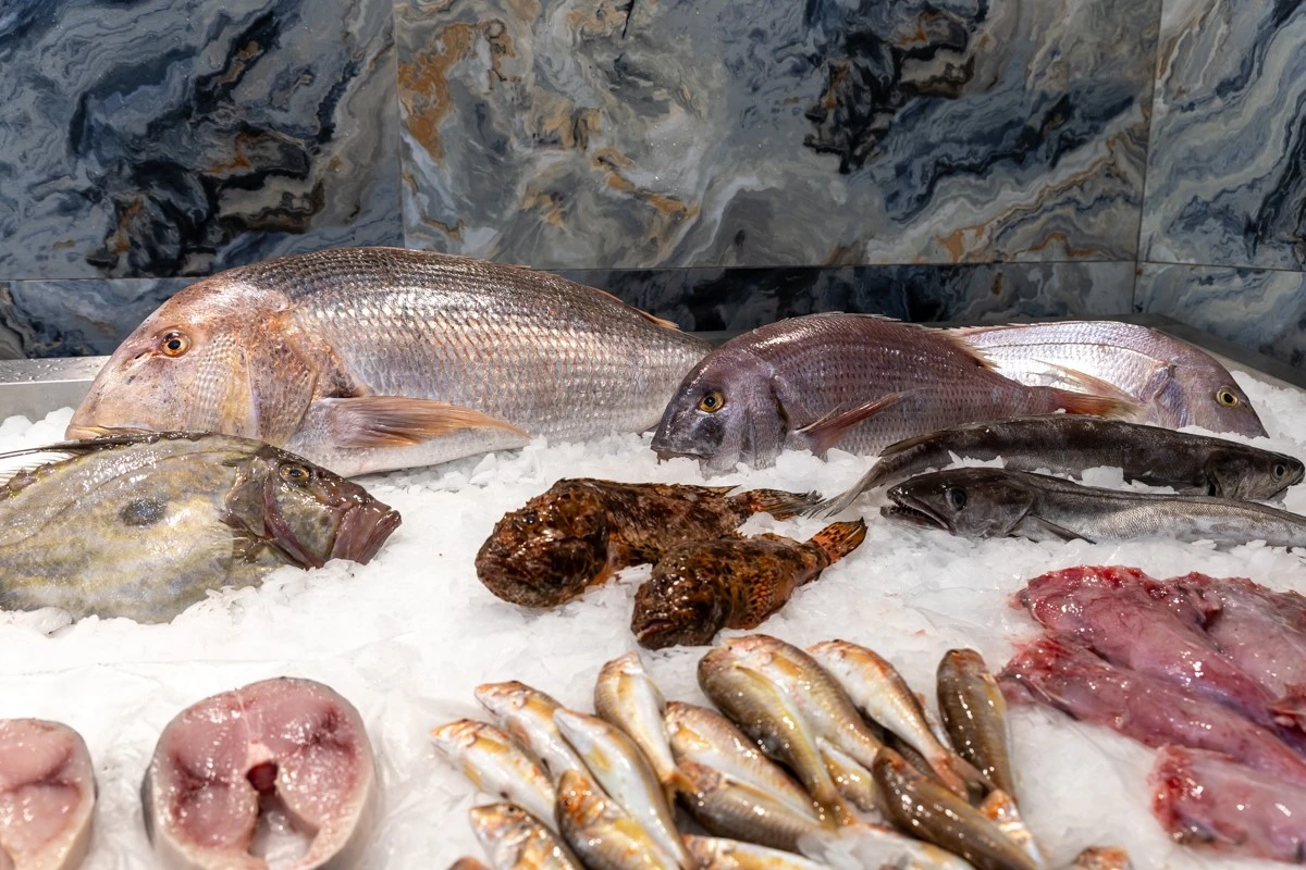 fish-fish3.jpg
