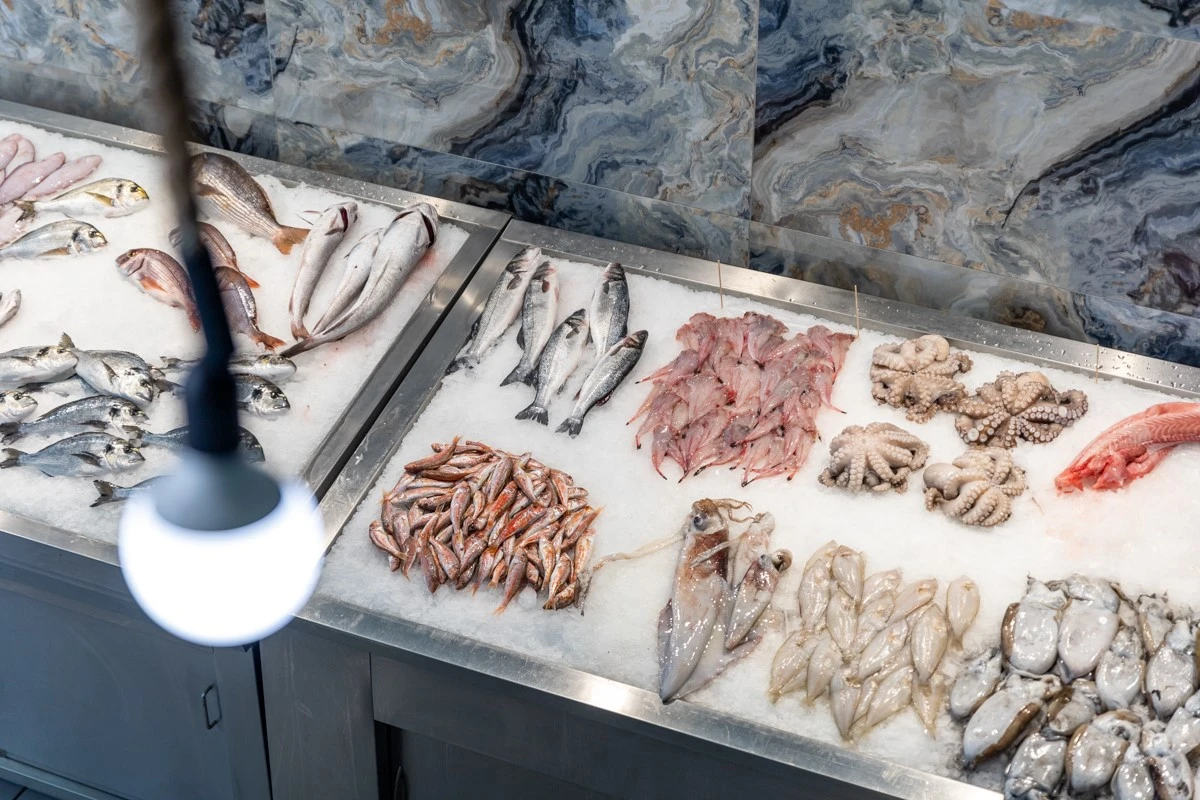 fish-fish4.jpg