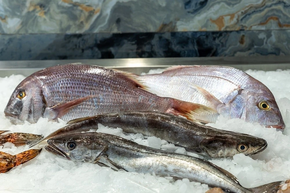 fish-fish6.jpg