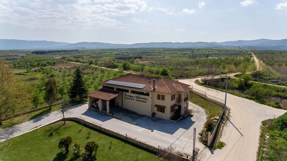 ktima-t-apostoli-dt5.jpg