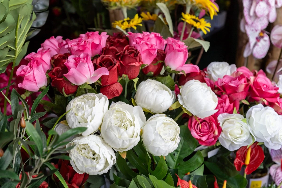 pantzi9.jpg