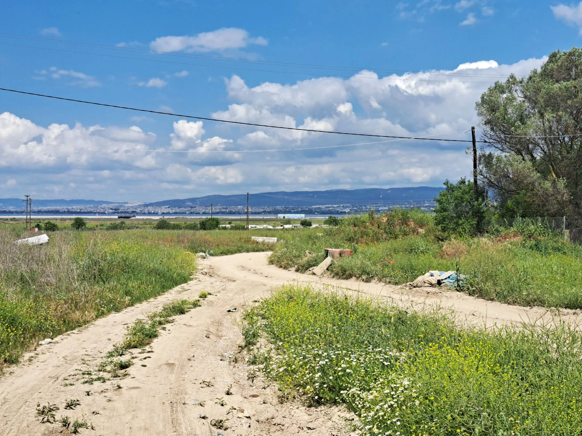 roma-dromos.jpg