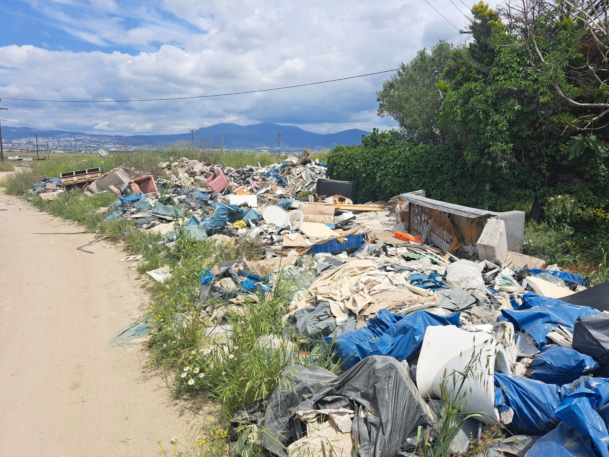 roma-mpaza1.jpg