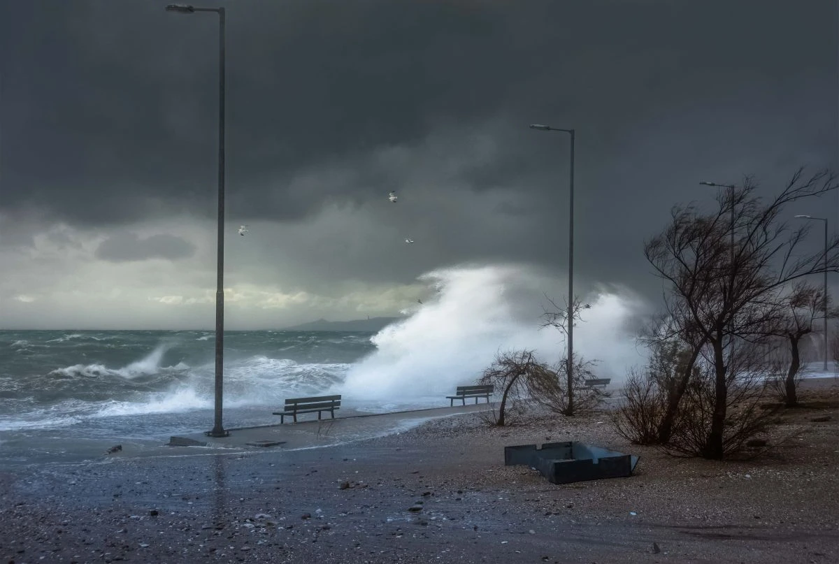 Γ. Κόχειλας