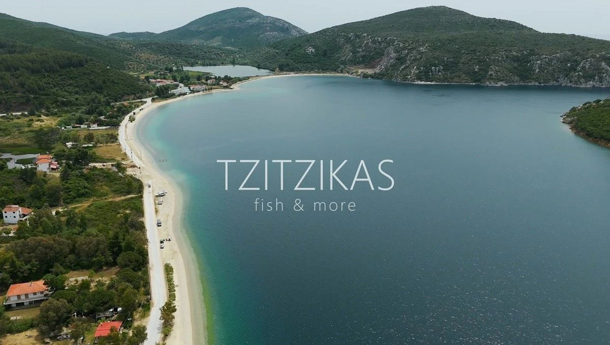 psarotaverna-tzitzikas-3.jpg