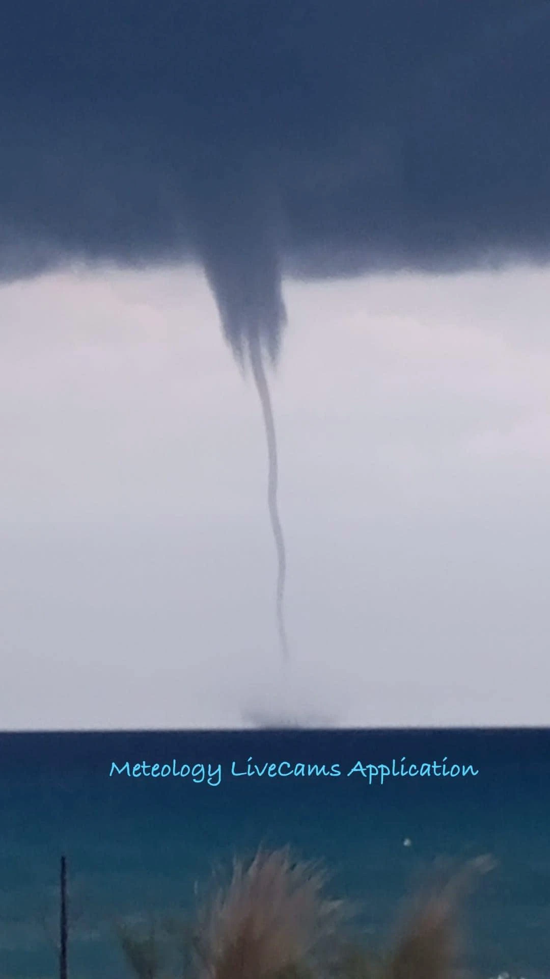 448912984-350970124512489-9136791120251097818-n.jpg