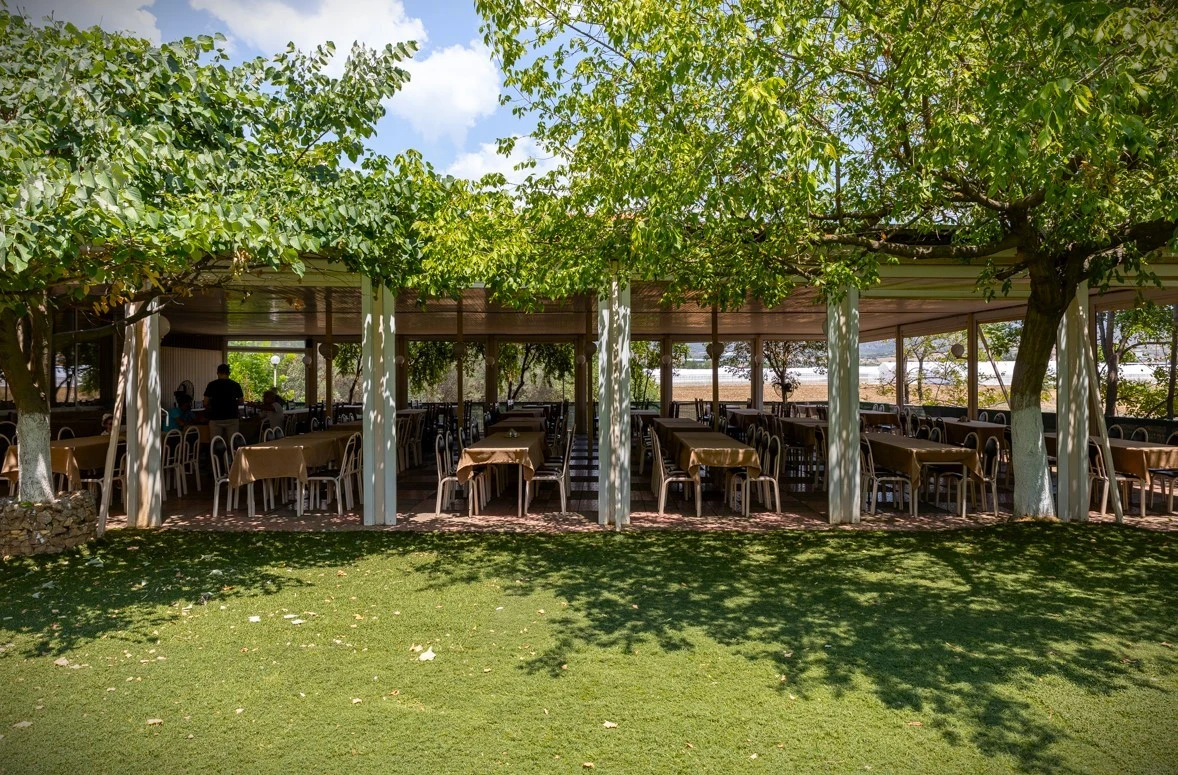 taverna-moystakas-1.jpg?v=0