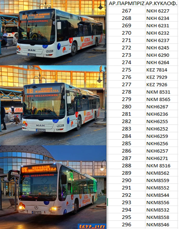 467513773-951577230350852-5267998734061079439-n.jpg