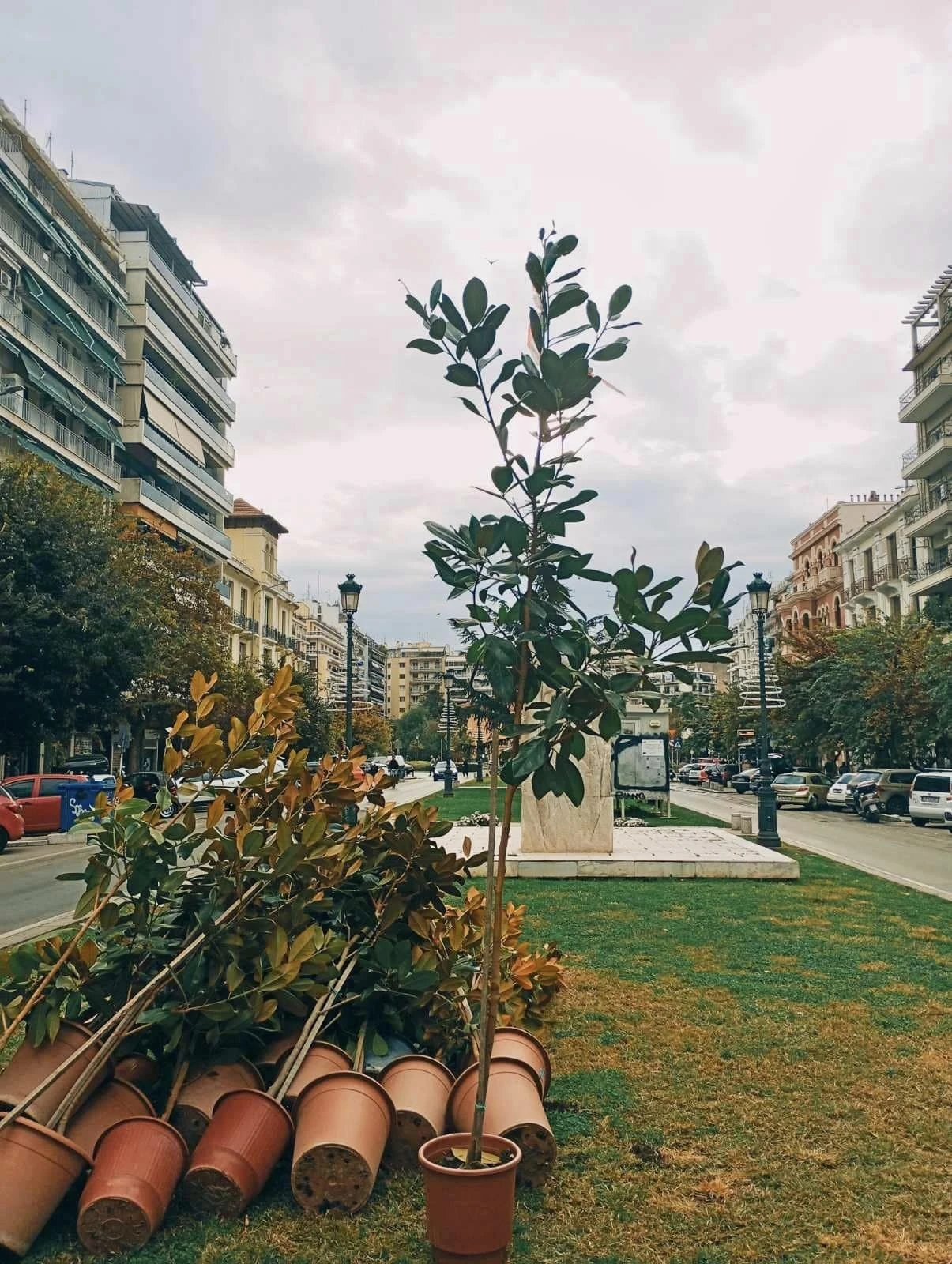 manwlies-agias-sofias-1.jpg