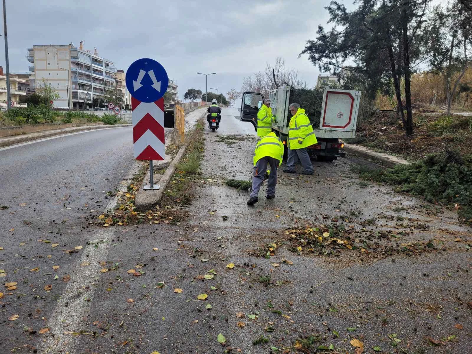 aggeloudis5.jpg