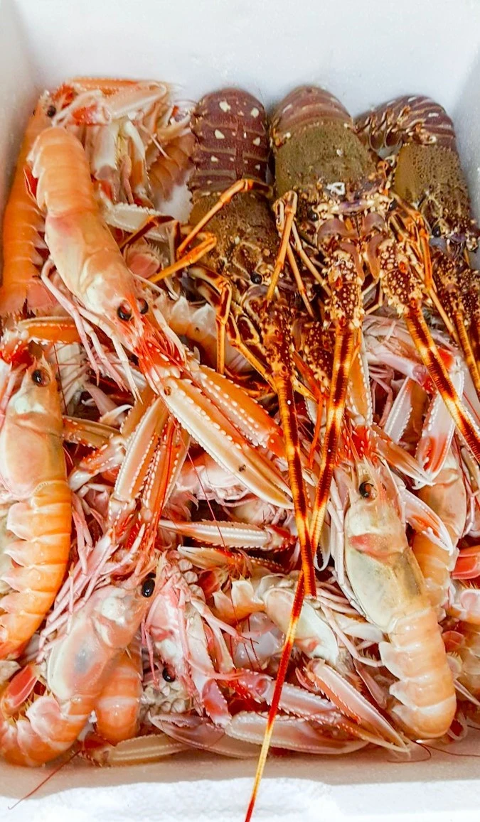 ichthiopolio-poseidonas10.jpg