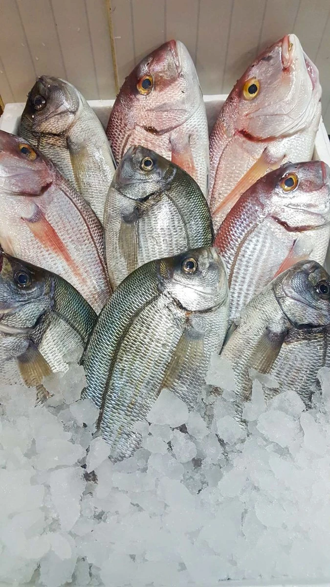 ichthiopolio-poseidonas4.jpg