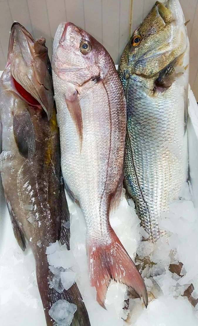 ichthiopolio-poseidonas5.jpg