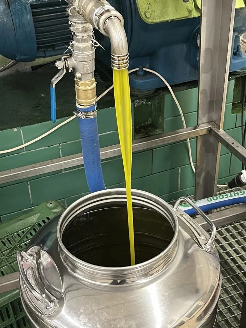 ladi-dimos-thessalonikis1.jpg?v=0