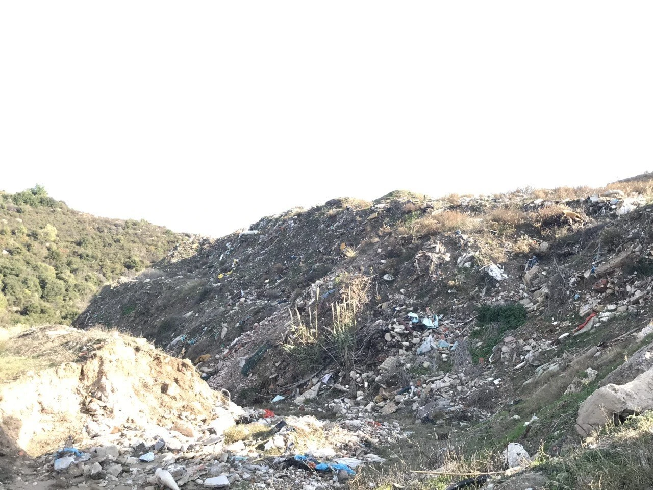 mpaza-03.jpg