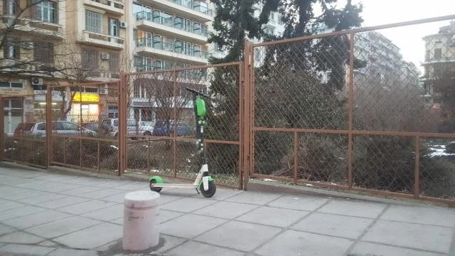 patinia.jpg